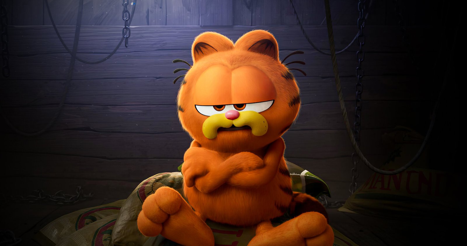 The Garfield Movie